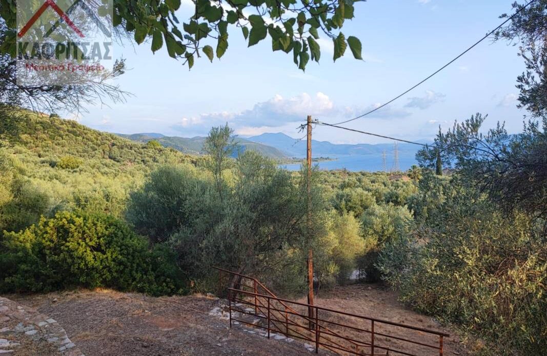 Φωτογραφίες ακινήτου