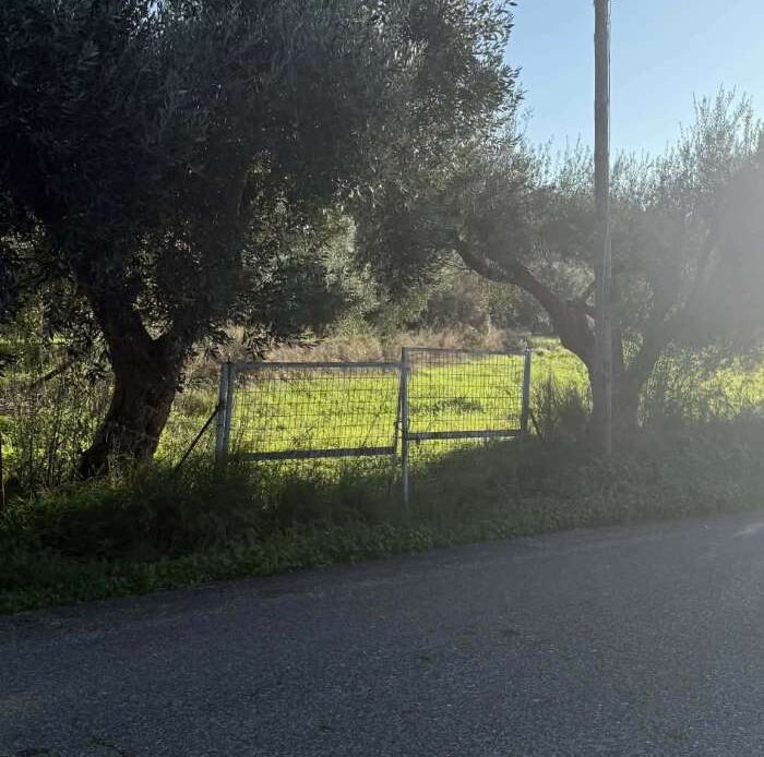 Φωτογραφίες ακινήτου