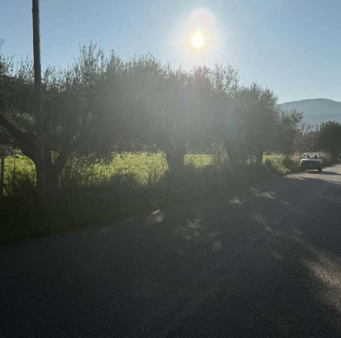 Φωτογραφίες ακινήτου