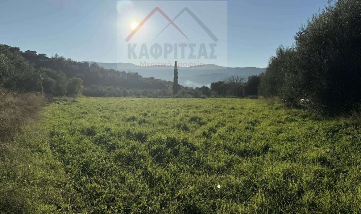 Φωτογραφίες ακινήτου