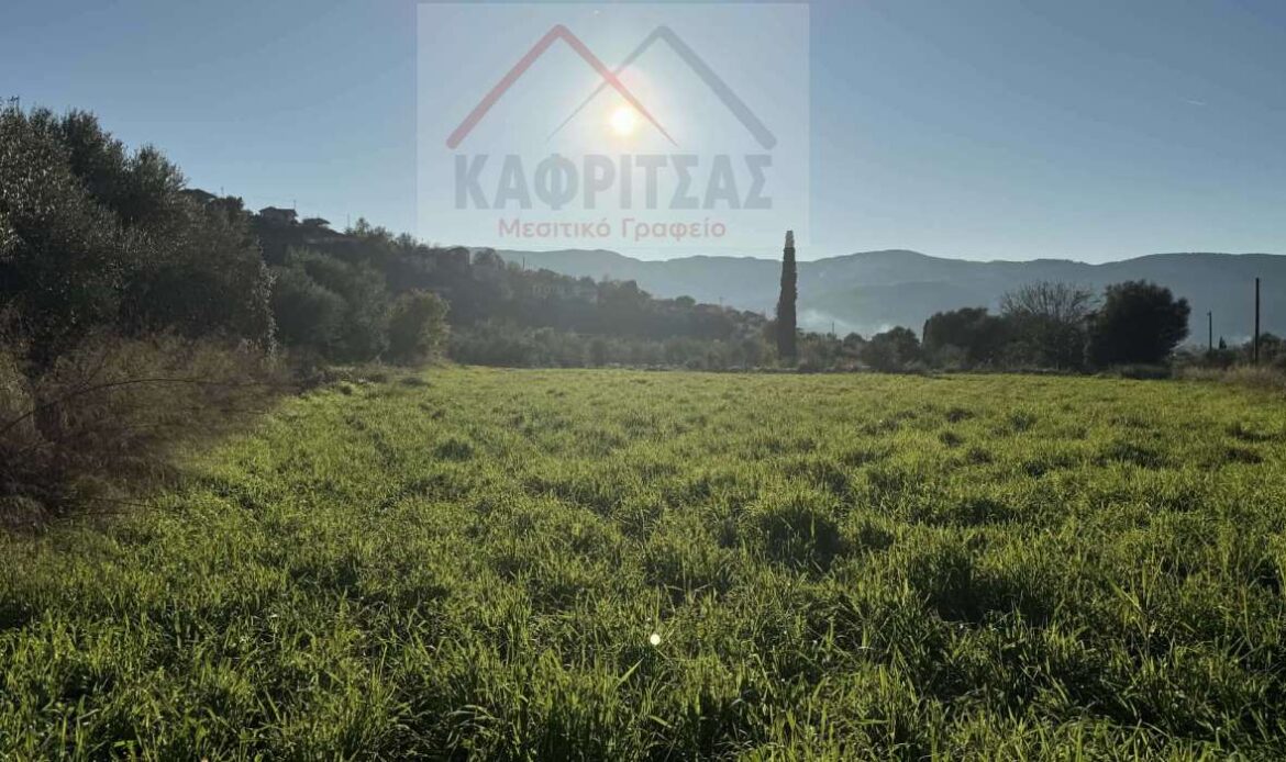 Φωτογραφίες ακινήτου