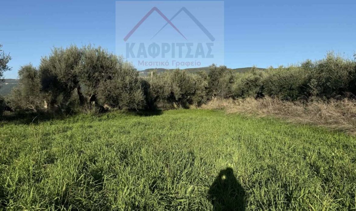 Φωτογραφίες ακινήτου