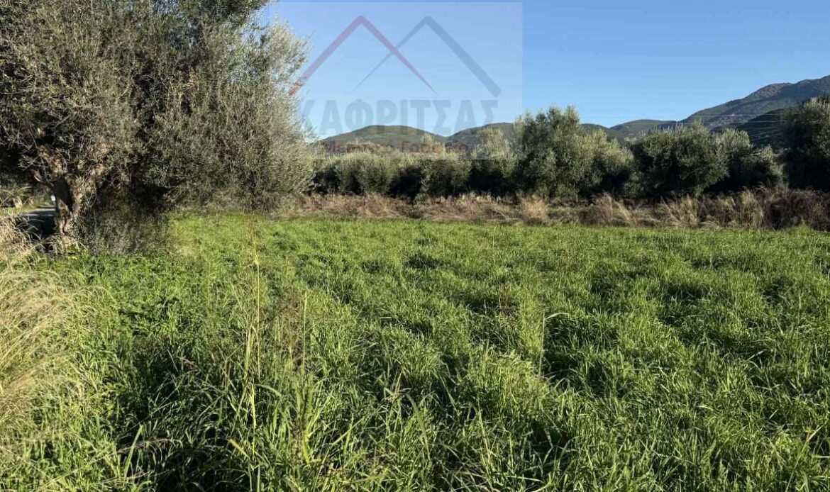 Φωτογραφίες ακινήτου