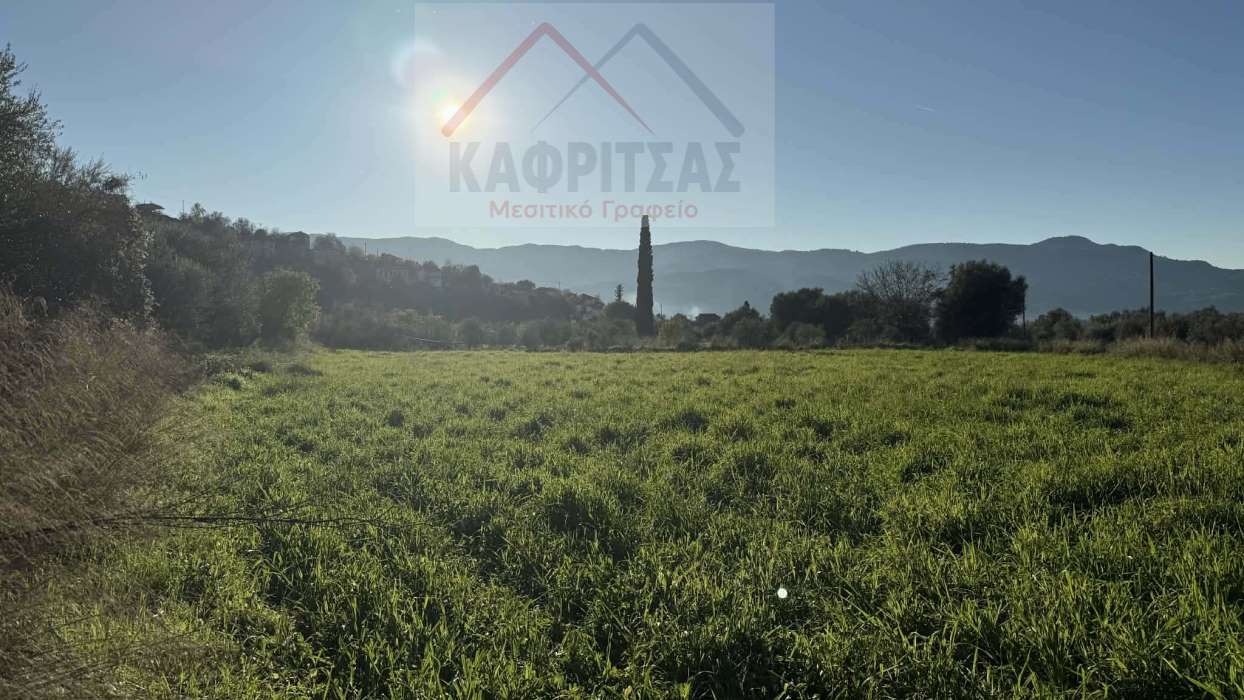 Πωλείται αγροτεμάχιο 3250 τ.μ. σε προνομιακή θέση στο δρόμο Σιταράλωνα – Πάμφιο