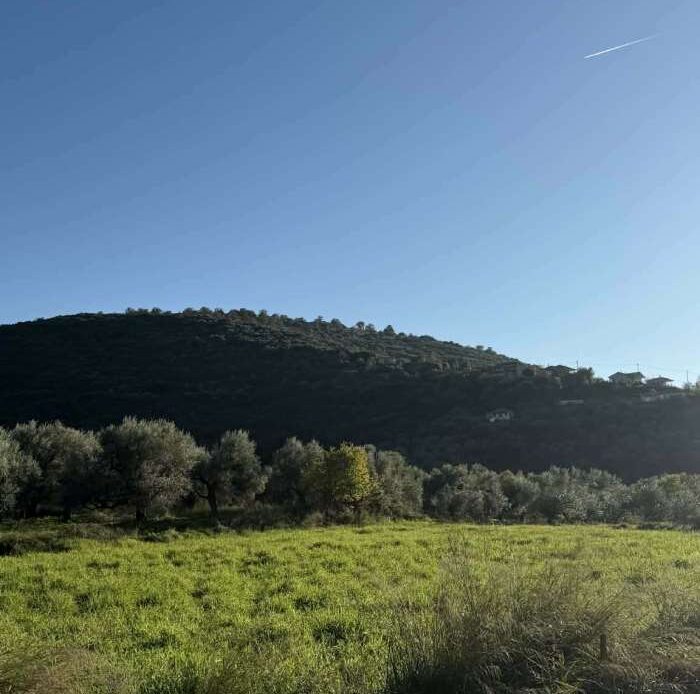 Φωτογραφίες ακινήτου