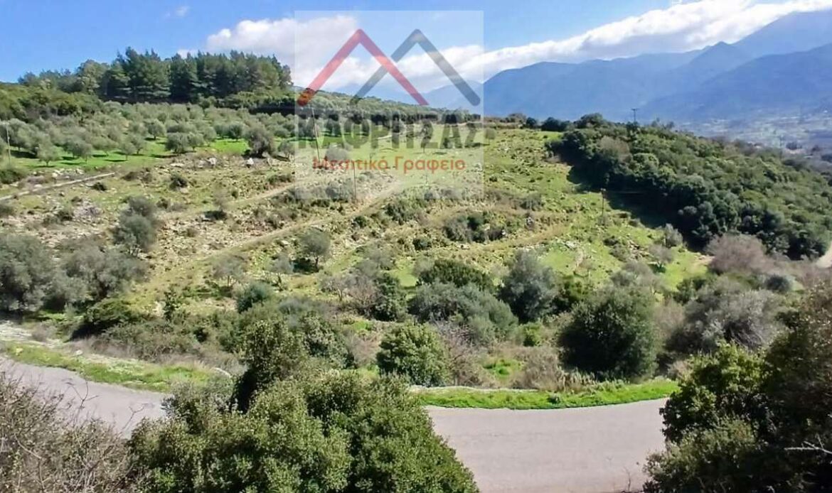 Φωτογραφίες ακινήτου