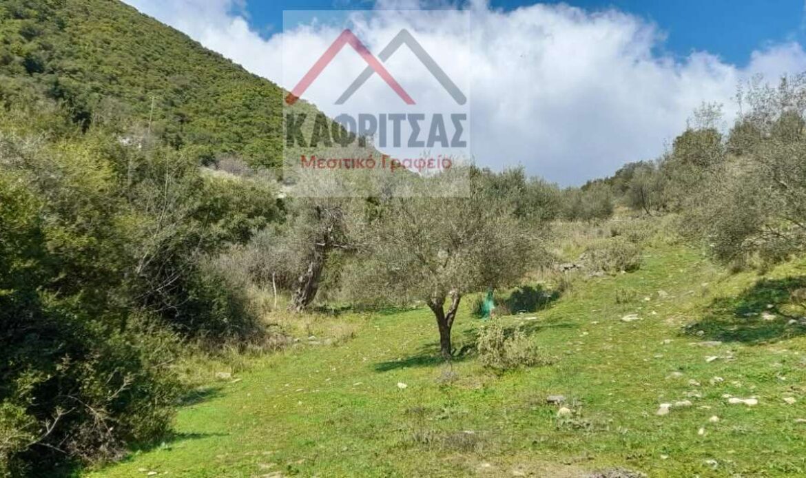 Φωτογραφίες ακινήτου