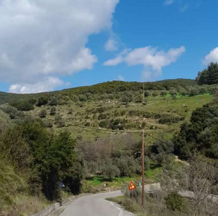 Φωτογραφίες ακινήτου