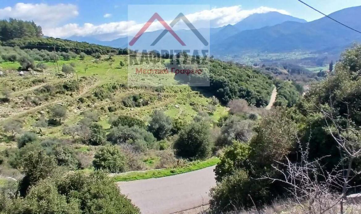 Φωτογραφίες ακινήτου