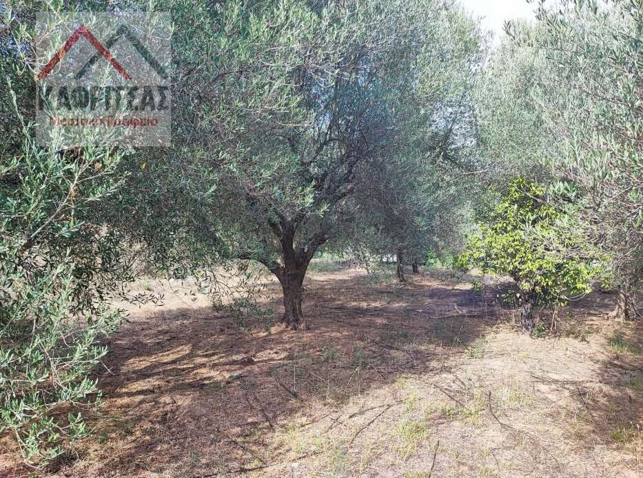 Φωτογραφίες ακινήτου