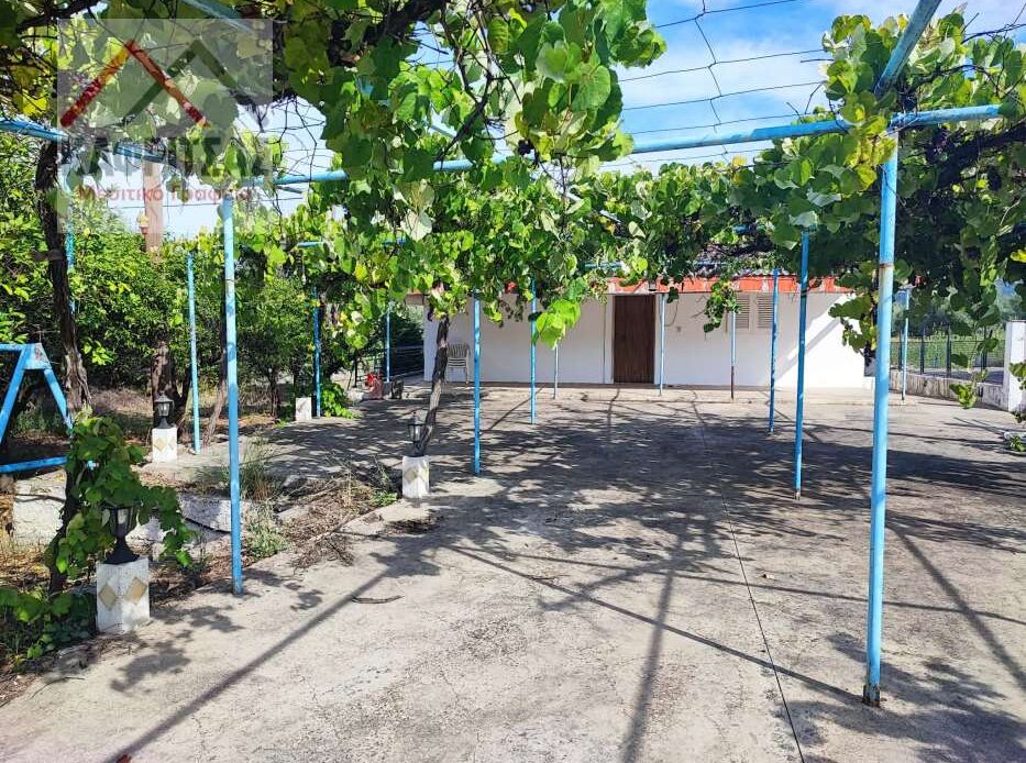 Φωτογραφίες ακινήτου